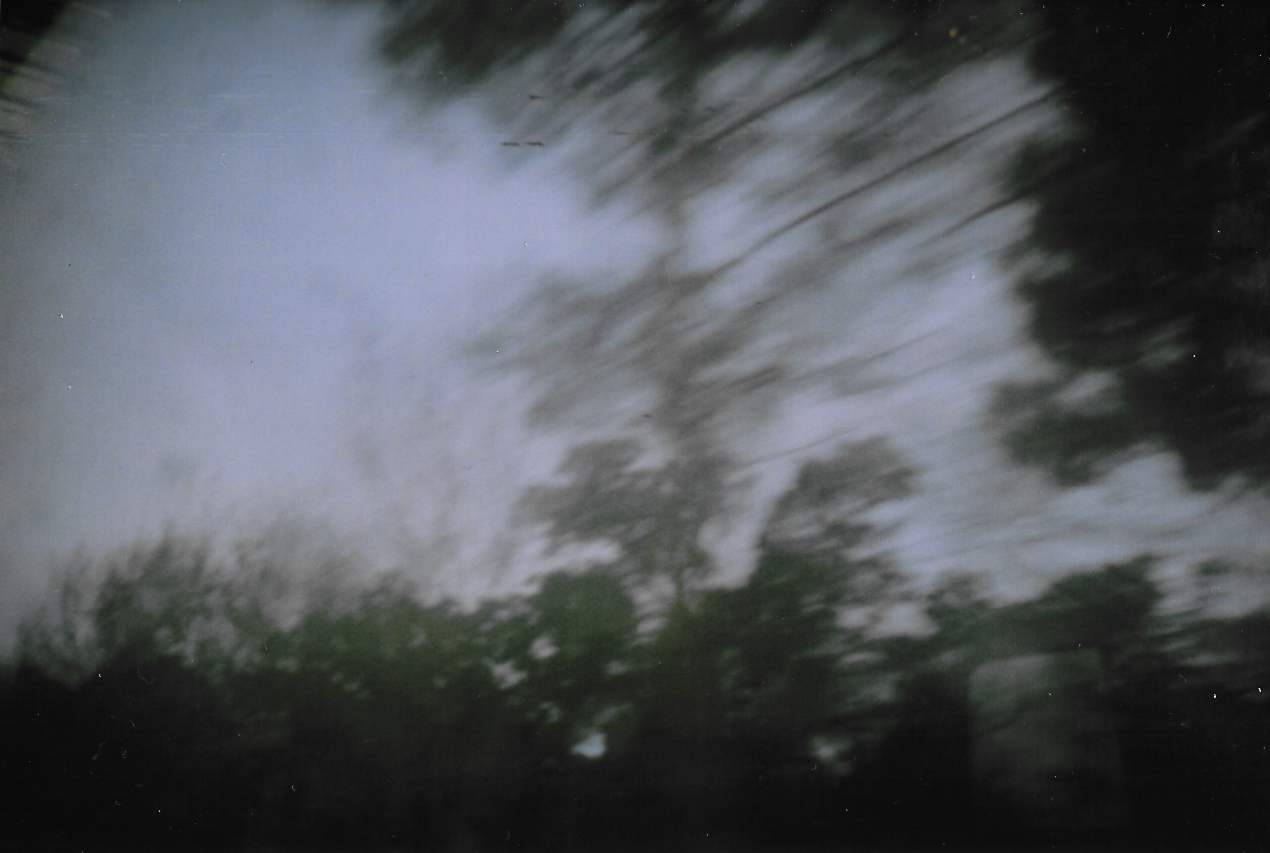 buée effacée sur la route de Bayonne, depuis le train les arbres dansent, 2018, pell couleur