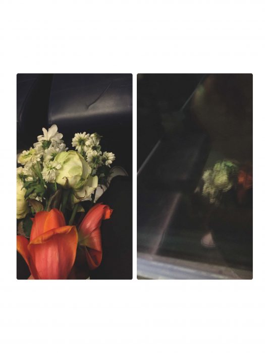 _2019 dead flowers, photo iPhone_Page_7