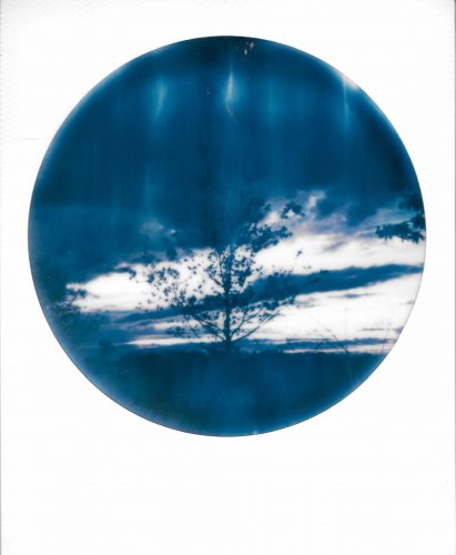 L_arbre, 2018, Impossible project format rond